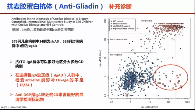 乳糜泻权威版指标检测策略来了，来听听首都儿研所专家钟雪梅主任怎么说