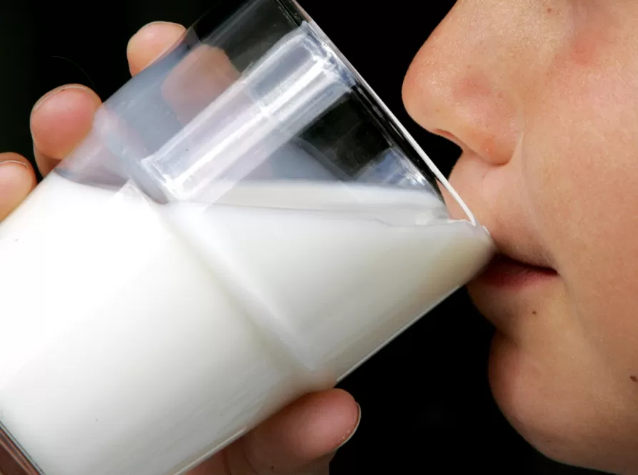 牛奶组分过敏检测
